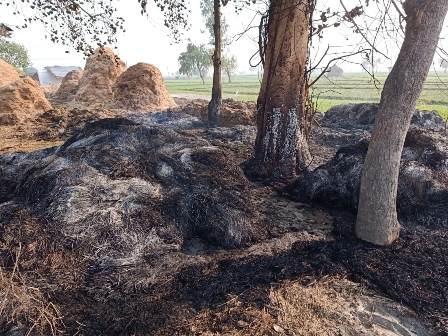 आग लगने से किसानों का जला लाखों का भूसा