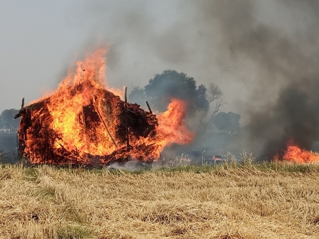 भयंकर आग से दर्जन भर किसानों की फसल व भूसा स्वाहा, लाखों का नुकसान