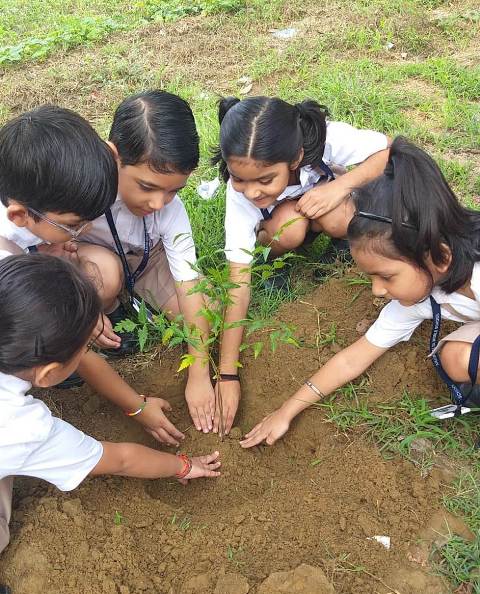 Youngsters of Kaushalya World School planted saplings, resolved to plant one thousand saplings